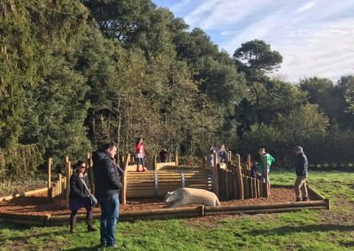 New Adventure Play at Upton Country Park, October 2019